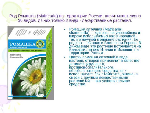 Род Ромашка (Matricaria) на территории России насчитывает около 30 видов. Из них только 2 вида - лекарственные растения. Ромашка аптечная (Matricaria chamomilla) — одно из популярнейших и широко используемых как в народной, так и в научной медицине …