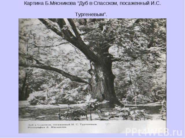Картина Б.Мясникова “Дуб в Спасском, посаженный И.С. Тургеневым”.