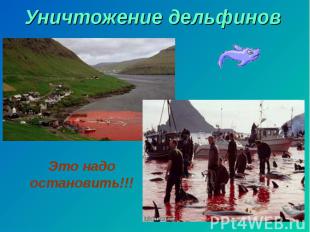 Уничтожение дельфинов Это надо остановить!!!