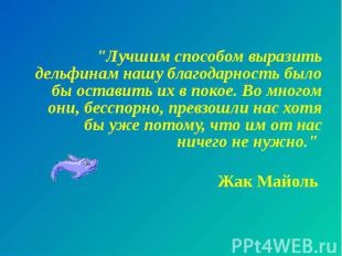 "Лучшим способом выразить дельфинам нашу благодарность было бы оставить их в пок