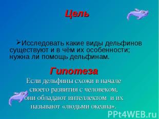 Цель Исследовать какие виды дельфинов существуют и в чём их особенности; нужна л