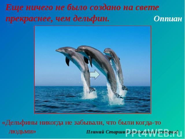 Еще ничего не было создано на свете прекраснее, чем дельфин. Оппиан «Дельфины никогда не забывали, что были когда-то людьми» Плиний Старший (античный историк)