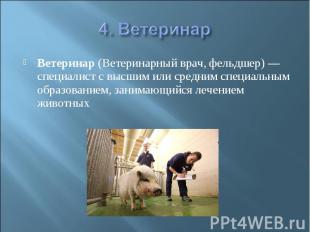 4. Ветеринар Ветеринар (Ветеринарный врач, фельдшер) — специалист с высшим или с