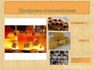 Продукты пчеловодства Прополис Воск Маточное молочко