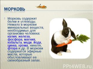 Морковь Морковь содержит белки и углеводы. Немало в моркови минеральных веществ,