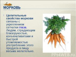 Морковь Целительные свойства моркови связаны с укреплением сетчатки глаза. Людям