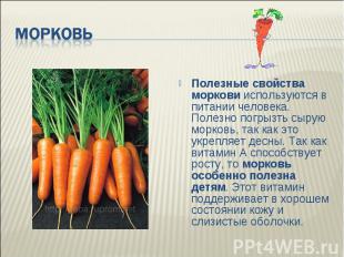 Морковь Полезные свойства моркови используются в питании человека. Полезно погры