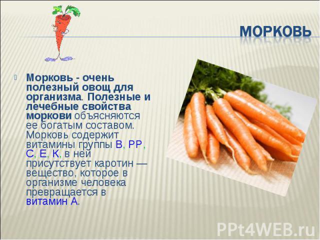 Морковь - очень полезный овощ для организма. Полезные и лечебные свойства моркови объясняются ее богатым составом. Морковь содержит витамины группы В, РР, С, Е, К, в ней присутствует каротин — вещество, которое в организме человека превращается в ви…