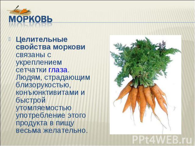 Реферат Про Морковь