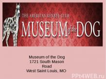 Museum of the Dog