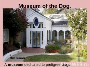 Museum of the Dog. A museum dedicated to pedigree dogs
