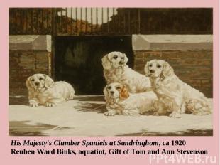 His Majesty's Clumber Spaniels at Sandringhom, ca 1920 Reuben Ward Binks, aquati