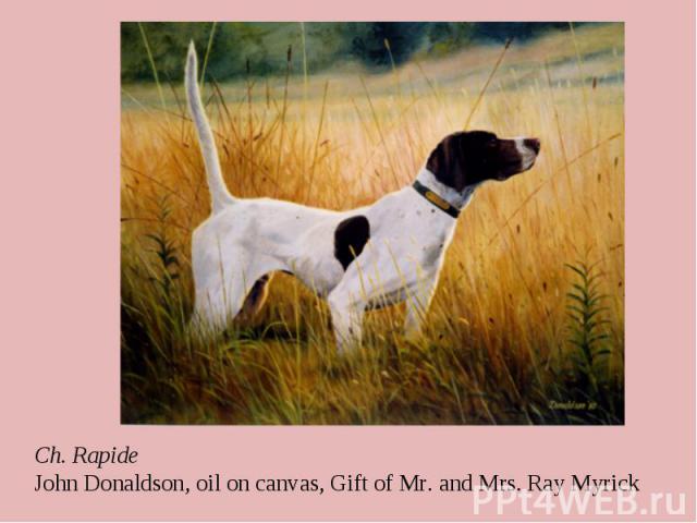 Ch. Rapide John Donaldson, oil on canvas, Gift of Mr. and Mrs. Ray Myrick
