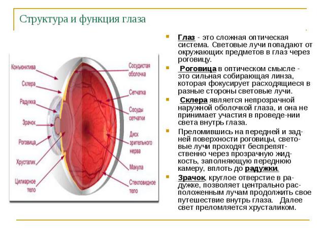 Структура и функция глаза Глаз - это сложная оптическая система. Световые лучи попадают от окружающих предметов в глаз через роговицу. Роговица в оптическом смысле - это сильная собирающая линза, которая фокусирует расходящиеся в разные стороны свет…