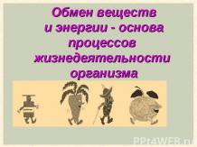 Обмен веществ и энергии - основа процессов жизнедеятельности организма