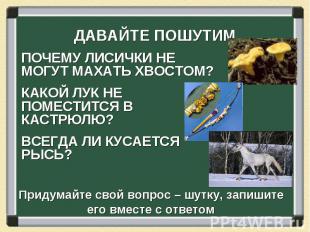 ДАВАЙТЕ ПОШУТИМ ПОЧЕМУ ЛИСИЧКИ НЕ МОГУТ МАХАТЬ ХВОСТОМ? КАКОЙ ЛУК НЕ ПОМЕСТИТСЯ