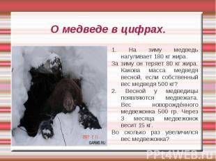 О медведе в цифрах. 1. На зиму медведь нагуливает 180 кг жира. За зиму он теряет