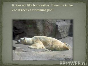 It does not like hot weather. Therefore in the Zoo it needs a swimming pool.