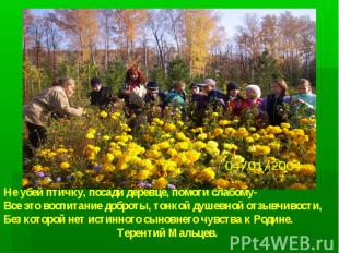 Не убей птичку, посади деревце, помоги слабому- Все это воспитание доброты, тонк