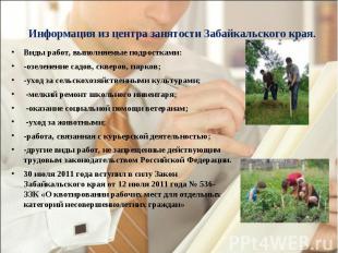 Информация из центра занятости Забайкальского края. Виды работ, выполняемые подр