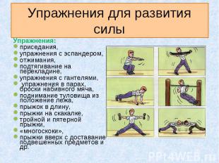 Упражнения для развития силы Упражнения: приседания, упражнения с эспандером, от