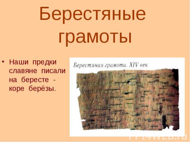 Берестяные грамотыНаши предки славяне писали на бересте - коре берёзы.