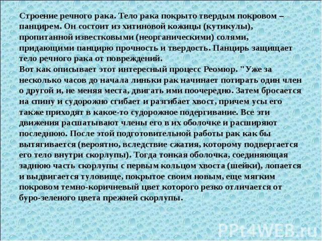 Строение речного рака. Тело рака покрыто твердым покровом – панцирем. Он состоит из хитиновой кожицы (кутикулы), пропитанной известковыми (неорганическими) солями, придающими панцирю прочность и твердость. Панцирь защищает тело речного рака от повре…