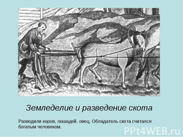 Земледелие и разведение скота Разводили коров, лошадей, овец. Обладатель скота считался богатым человеком.