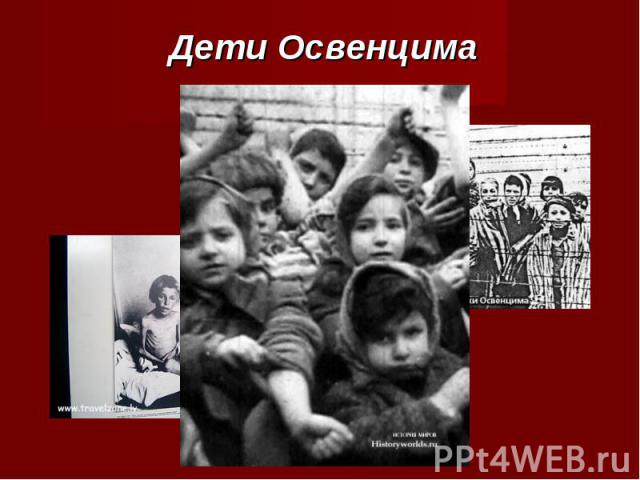 Дети Освенцима