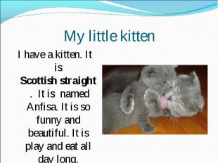 My little kitten I have a kitten. It is Scottish straight . It is named Anfisa.
