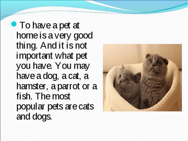 To have a pet at home is a very good thing. And it is not important what pet you have. You may have a dog, a cat, a hamster, a parrot or a fish. The most popular pets are cats and dogs.