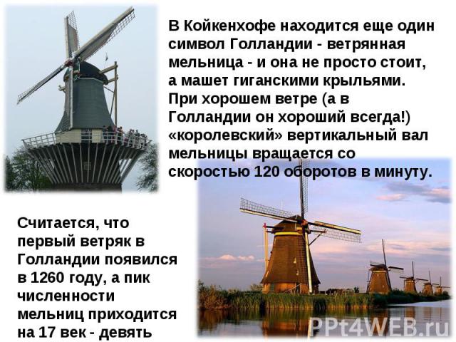 В Койкенхофе находится еще один символ Голландии - ветрянная мельница - и она не просто стоит, а машет гиганскими крыльями. При хорошем ветре (а в Голландии он хороший всегда!) «королевский» вертикальный вал мельницы вращается со скоростью 120 оборо…