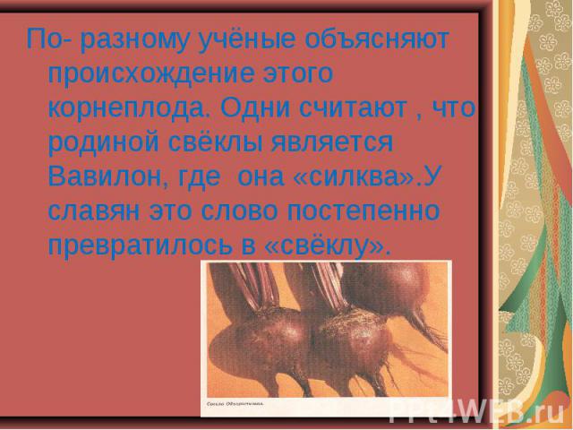 По- разному учёные объясняют происхождение этого корнеплода. Одни считают , что родиной свёклы является Вавилон, где она «силква».У славян это слово постепенно превратилось в «свёклу».