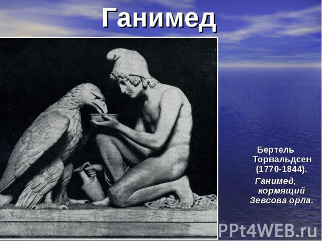 Ганимед Бертель Торвальдсен (1770-1844). Ганимед, кормящий Зевсова орла.