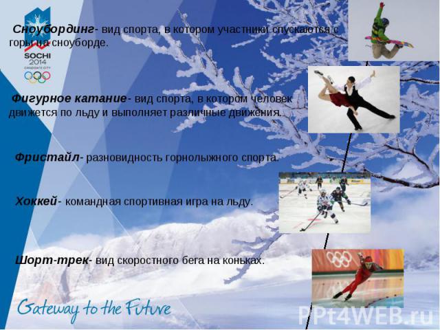 Сноубординг- вид спорта, в котором участники спускаются с горы на сноуборде. Фигурное катание- вид спорта, в котором человек движется по льду и выполняет различные движения. Фристайл- разновидность горнолыжного спорта. Хоккей- командная спортивная и…