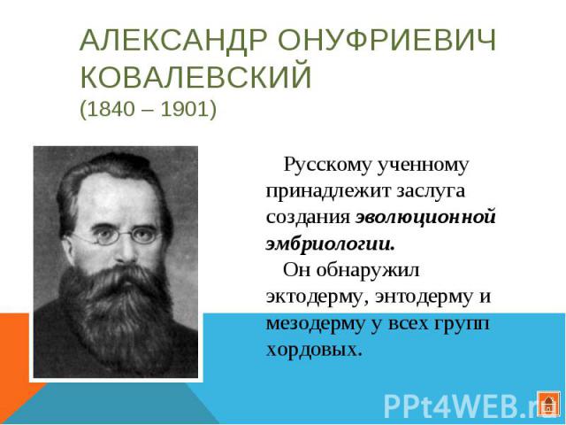 Александр Онуфриевич Ковалевский (1840 – 1901) Русскому ученному принадлежит заслуга создания эволюционной эмбриологии. Он обнаружил эктодерму, энтодерму и мезодерму у всех групп хордовых.