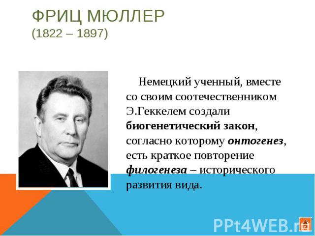 Фриц Мюллер (1822 – 1897) Немецкий ученный, вместе со своим соотечественником Э.Геккелем создали биогенетический закон, согласно которому онтогенез, есть краткое повторение филогенеза – исторического развития вида.