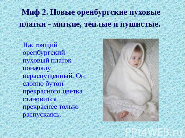 Миф 2. Новые оренбургские пуховые платки - мягкие, теплые и пушистые. Настоящий оренбургский пуховый платок - поначалу нераспущенный. Он словно бутон прекрасного цветка становится прекраснее только распускаясь.