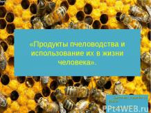 Продукты пчеловодства и использование их в жизни человека