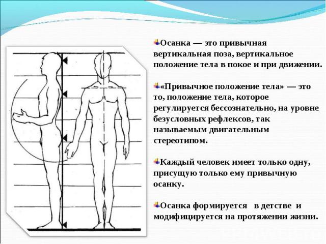 Осанка — это привычная вертикальная поза, вертикальное положение тела в покое и при движении. «Привычное положение тела» — это то, положение тела, которое регулируется бессознательно, на уровне безусловных рефлексов, так называемым двигательным стер…