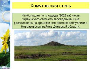 Наибольшая по площади (1028 га) часть Украинского степного заповедника. Она расп