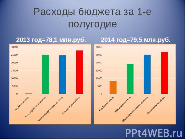 2013 год=78,1 млн.руб. 2013 год=78,1 млн.руб.