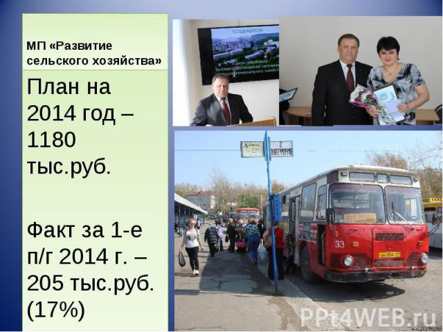 План на 2014 год – 1180 тыс.руб. План на 2014 год – 1180 тыс.руб. Факт за 1-е п/г 2014 г. – 205 тыс.руб. (17%)