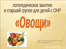 логопедическое занятие в старшей группе для детей с ОНР «Овощи»
