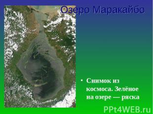 Снимок из космоса. Зелёное на озере&nbsp;— ряскаСнимок из космоса. Зелёное на оз