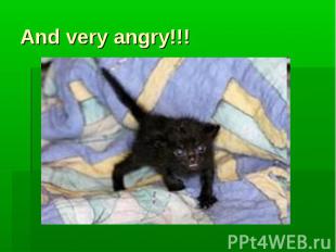 And very angry!!!