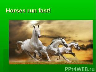 Horses run fast!