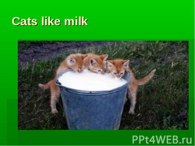 Cats like milk