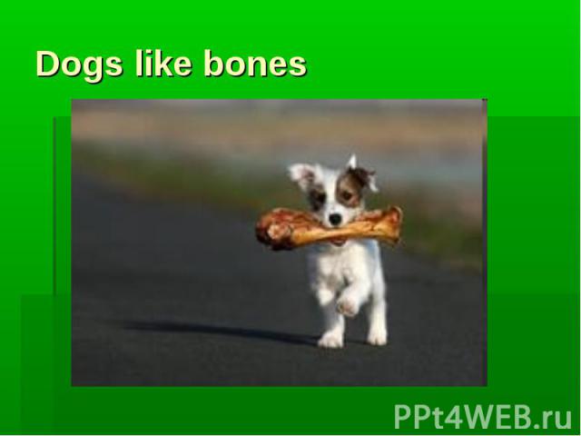 Dogs like bones