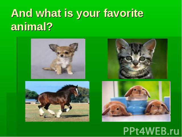 And what is your favorite animal?